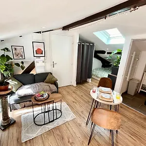Loft Hortensia Climatise Hyper Centre Castres (Tarn)